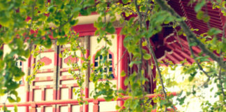 Mini giardino giapponese 700 0 026_Mini giardino giapponese_ok